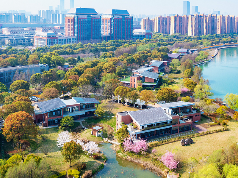 20250619东森平台建设：青：景观提升工程环湖沿线对公众开放.png